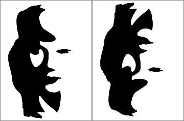 Illusion ou Question de perception